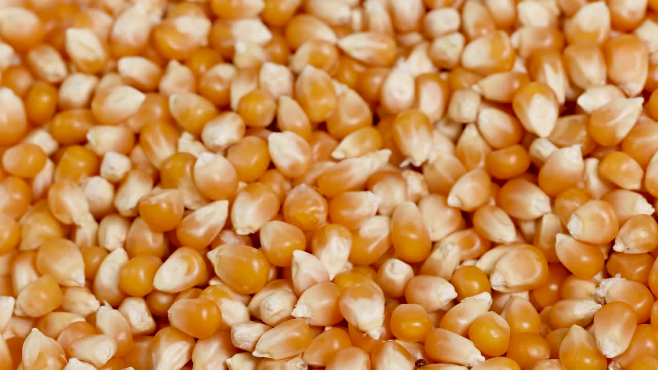 Golden popcorn kernels cascade in a close-up view, highlighting texture and movement under bright lighting