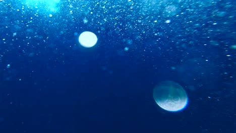 bubble background view, fast underwater shot in light blue tropic water