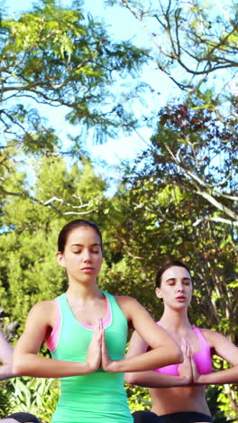 mujeres realizando yoga en el parque