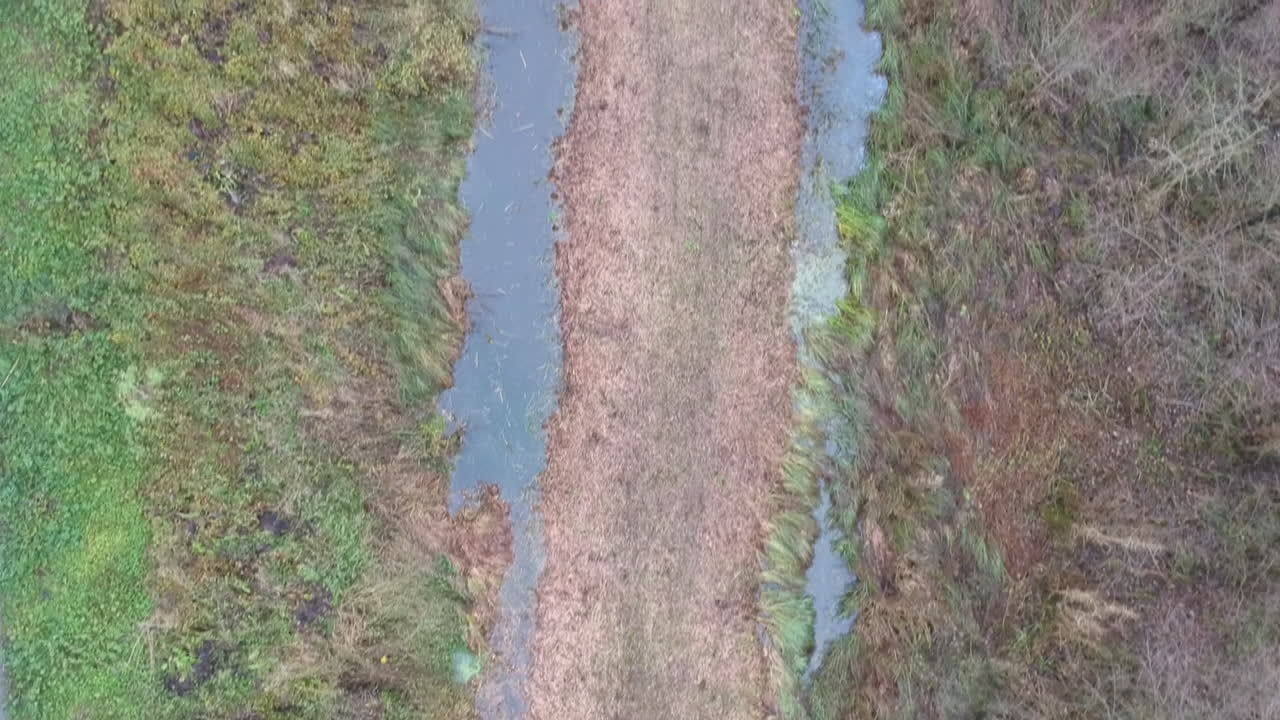Küçük bir nehrin geçtiği orman manzarasının kuşbakışı drone çekimi.
