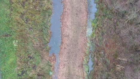 Droneshot-De-Arriba-Hacia-Abajo-En-El-Bosque-Con-Un-Pequeño-Río-Que-Atraviesa-El-Paisaje