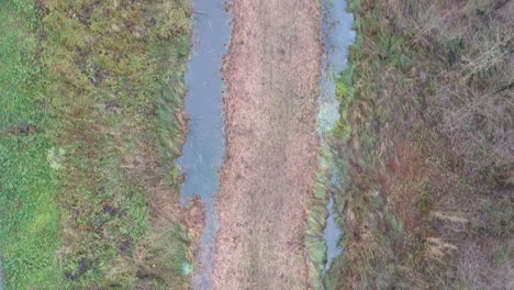 topdown droneshot in forest with small river running trough landscape