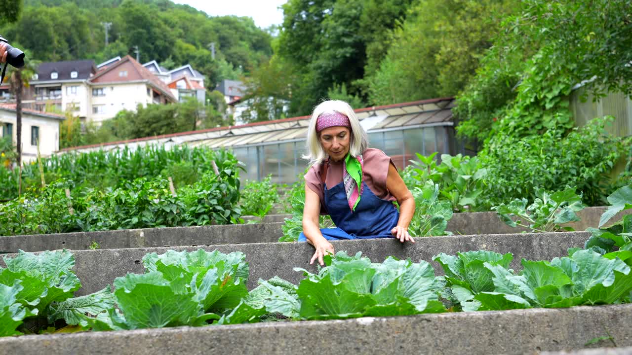 Woman Gardening in a Cabbage Patch