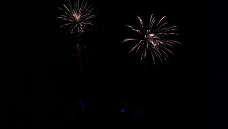 smudges of light turn into brightly colored fireworks