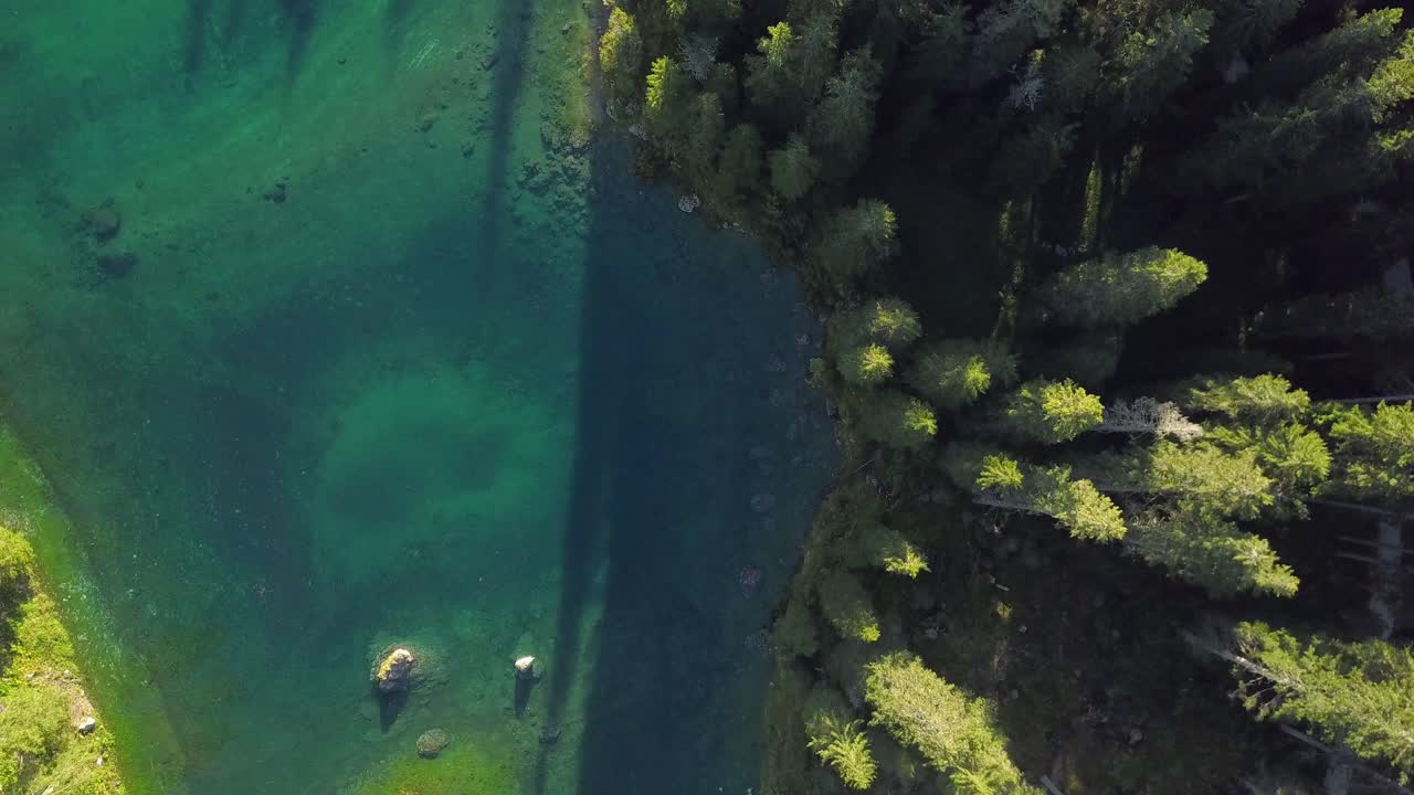 tiro de drone mirando hacia abajo sobre el borde de los árboles y el agua del lago carezza en los dolomitas, italia 4k
