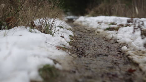 Wandern-Auf-Dem-Appalachian-Trail-In-New-Jersey