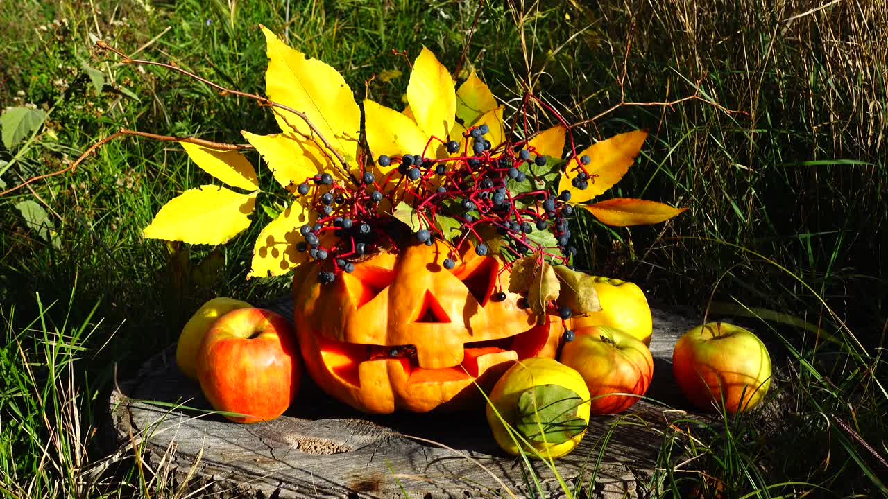 Calabaza de Halloween espeluznante. El monstruo se sienta en un tocón de árbol. Sesión en octubre.