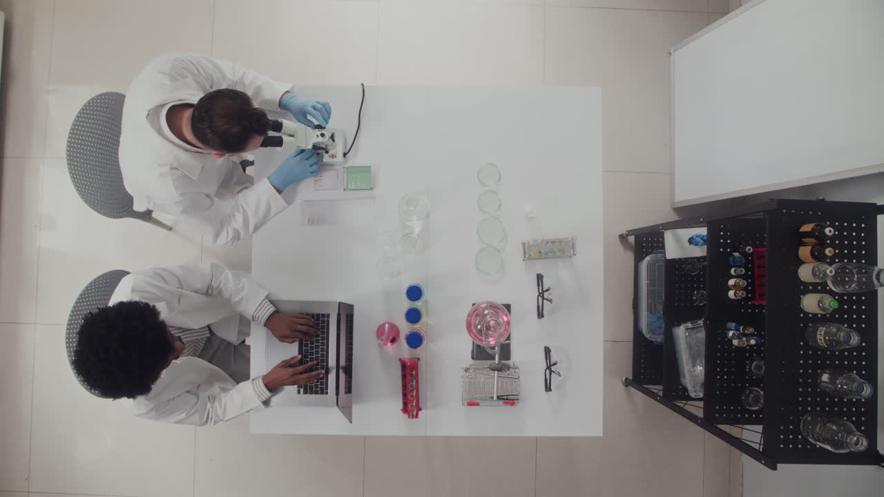 Chemists Working at Laboratory Top View