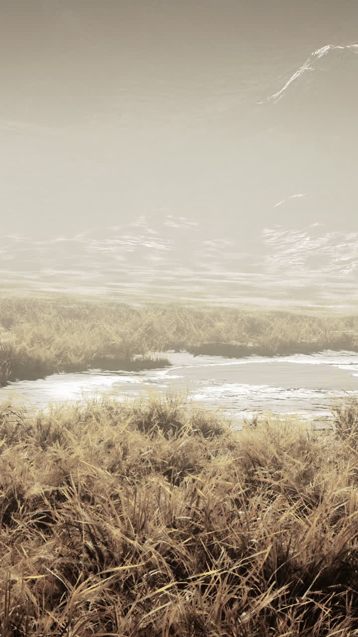 안개가 가득한 산의 습지 풍경