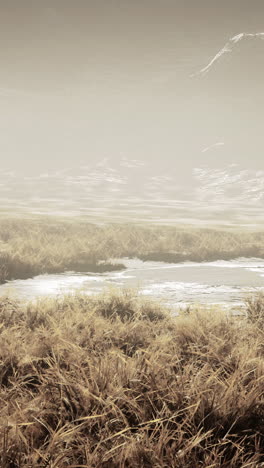 misty mountain marsh landscape