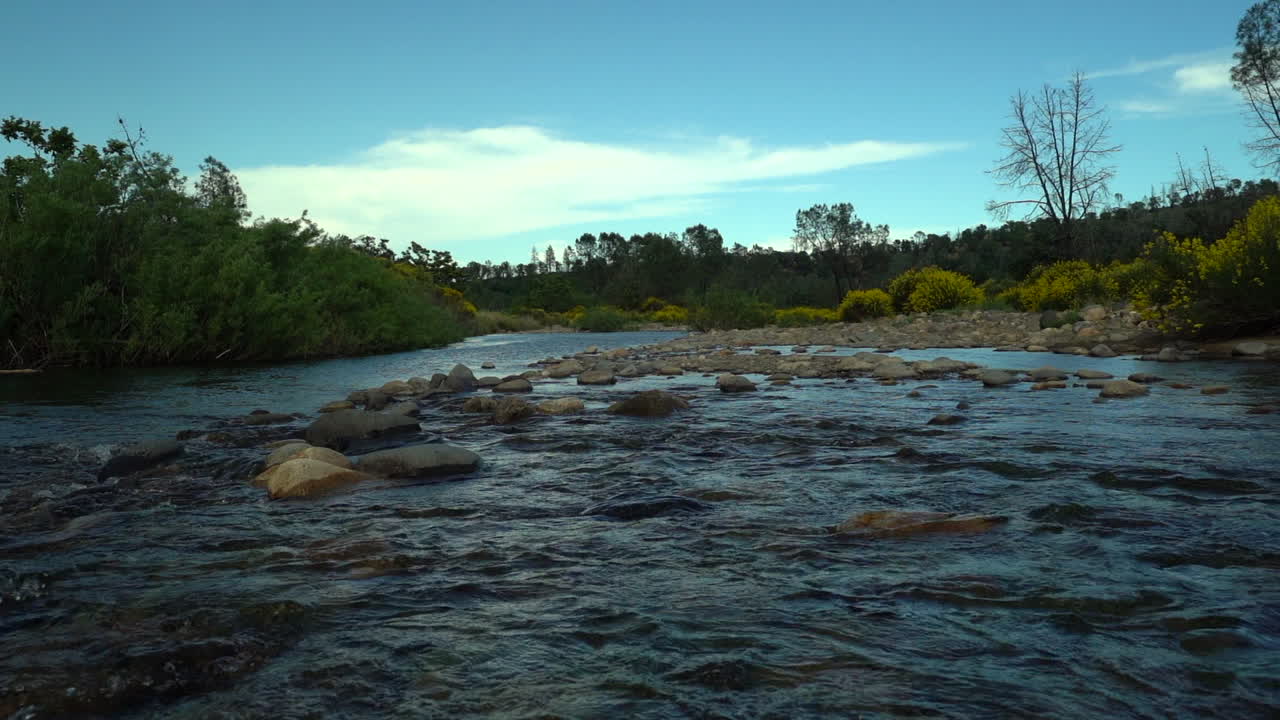 Slow motion rotating pan of a babbling creek and golden mustard bushes along the bank