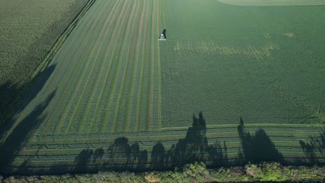 en el condado de door, wisconsin, un agricultor en un tractor john deere, corta su campo de alfalfa a finales de agosto-11