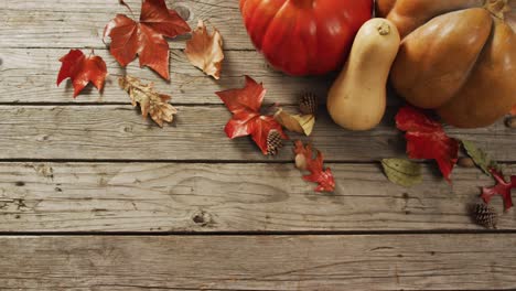 video of pumpkins with pinecones and autumn leaves on wooden background