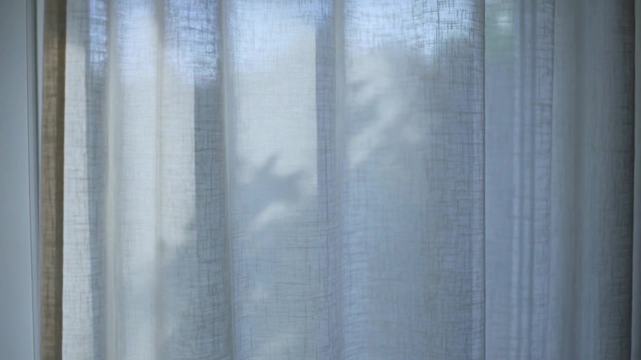 Casting outside plant moving shadows across sheer curtain at home breeze shifting leaves