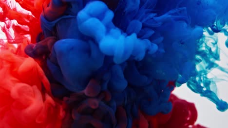 An organic background for visuals and motion graphics