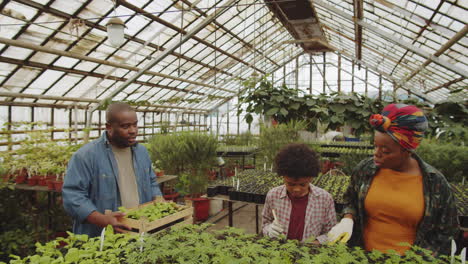 african american family growing plants in greenhouse