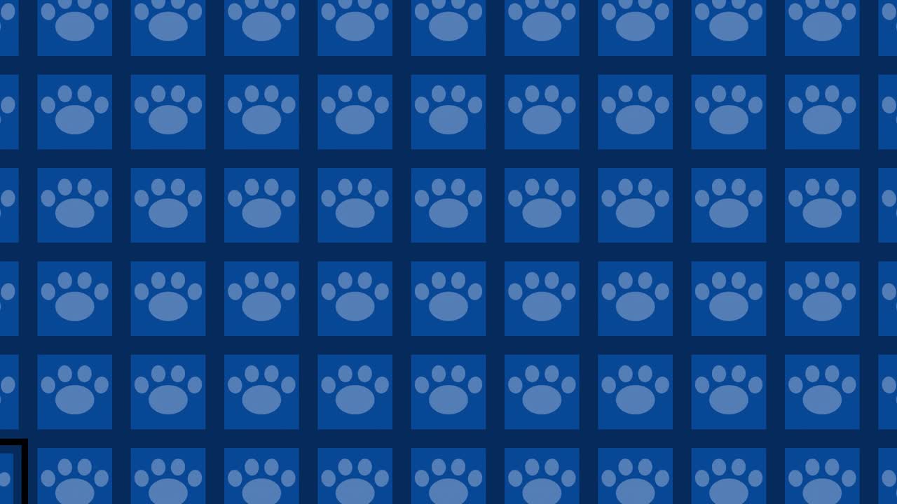 Blue Paw Print Pattern