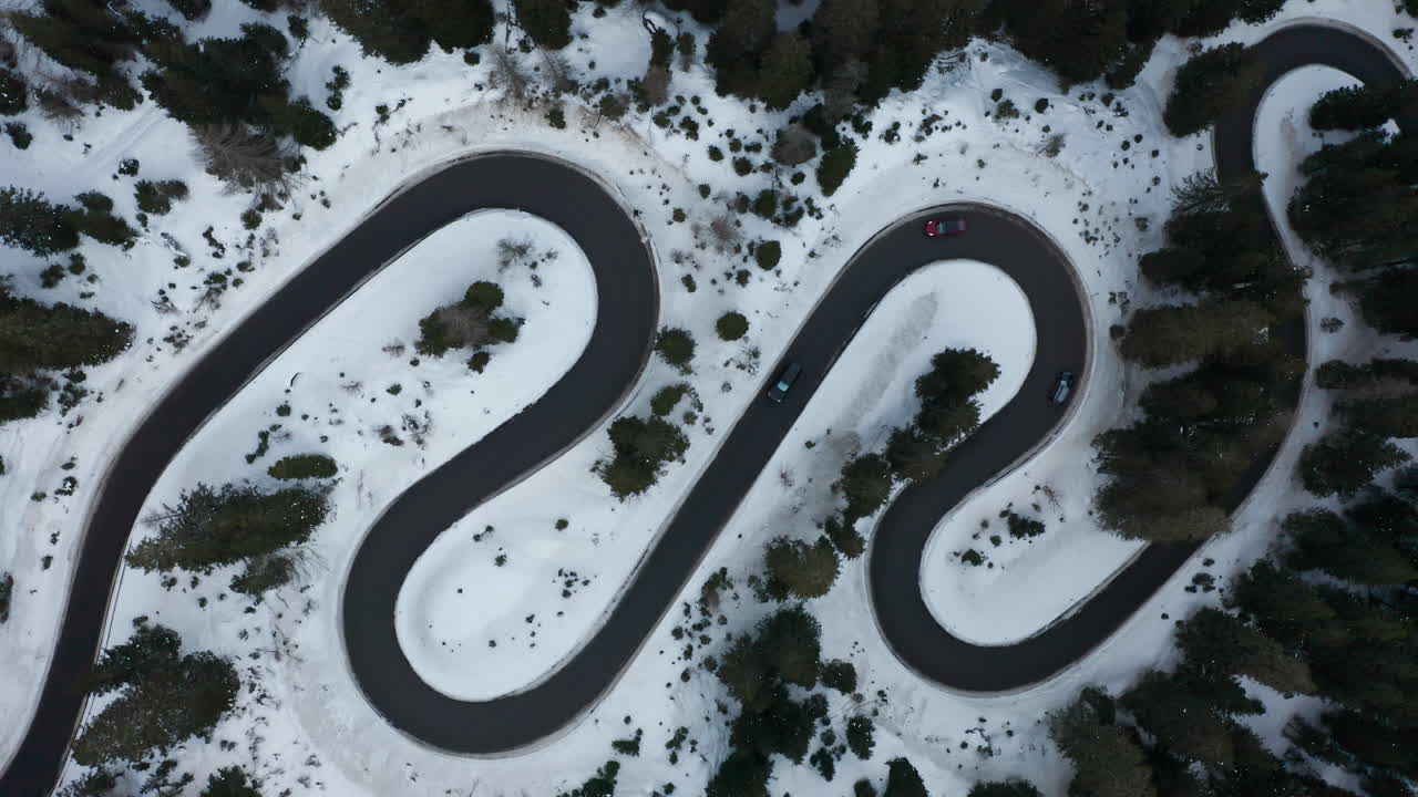 Aerial top-down drone shot of the Passo Giau road between snow-covered coniferous forest in the Dolomites