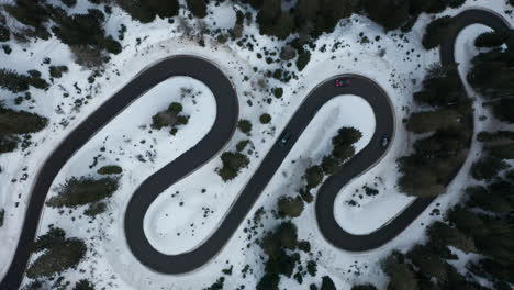 aerial top-down drone shot of the passo giau road between snow-covered coniferous forest in the dolomites