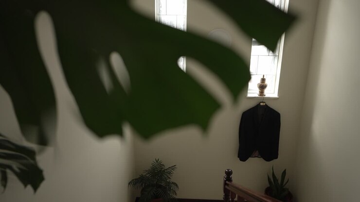 Black suit on a hanger near a bright window, surrounded by indoor plants in a stairwell