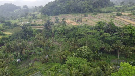 balinese villager houses and farms among palm trees, green terraces and tropical hills overlaid with misty lush rainforest on a rainy day in sideman, bali island, indonesia