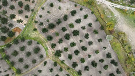 k aerial shots of a small village in