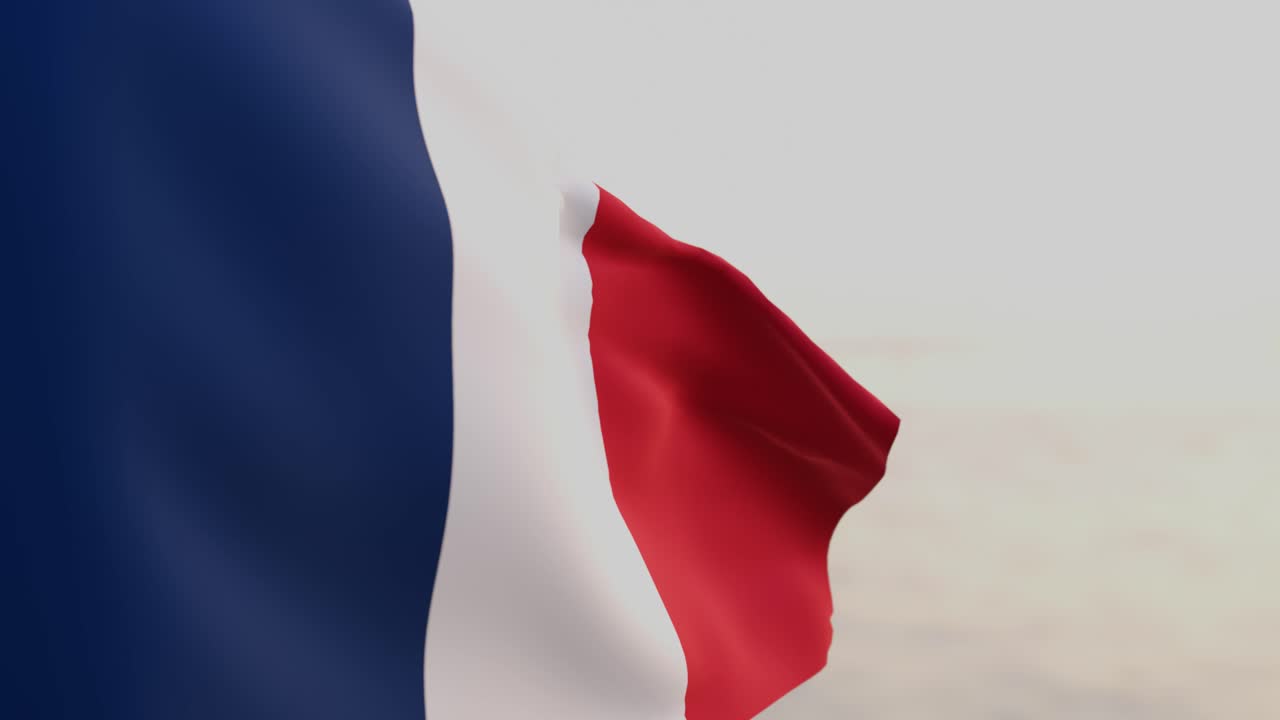 Bandiera della Francia