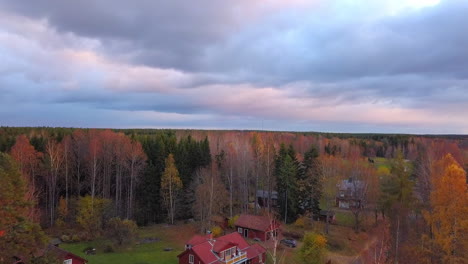 aerial drone shot, towards colorful autumn trees, on a cloudy fall day, in the countryside of sweden