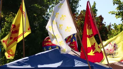 medieval flags and banners at an outdoor event