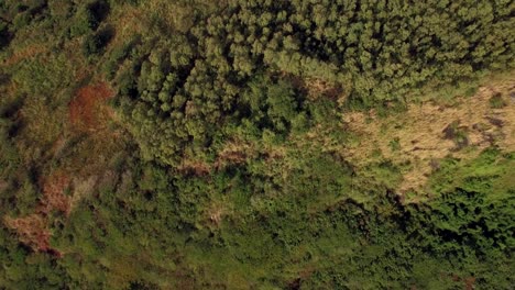 escena aérea de mauricio
