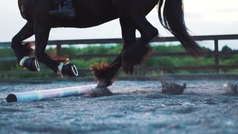 black fell horse cantering over ground poles in a school