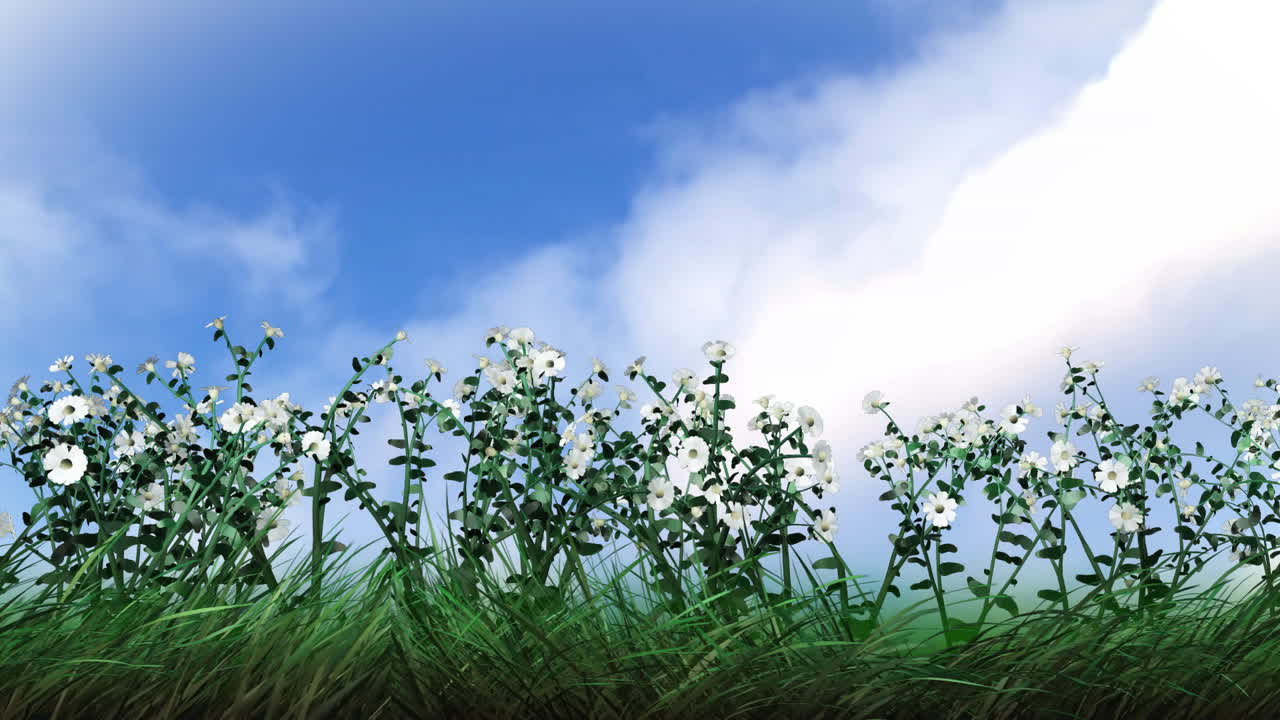 식물과 꽃이 자란다