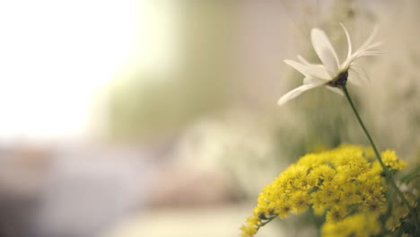 delicate bouquet of white daisy and yellow flowers