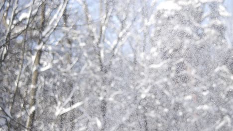 winter landscape during snowfall. winter christmas abstract background on super slow motion.