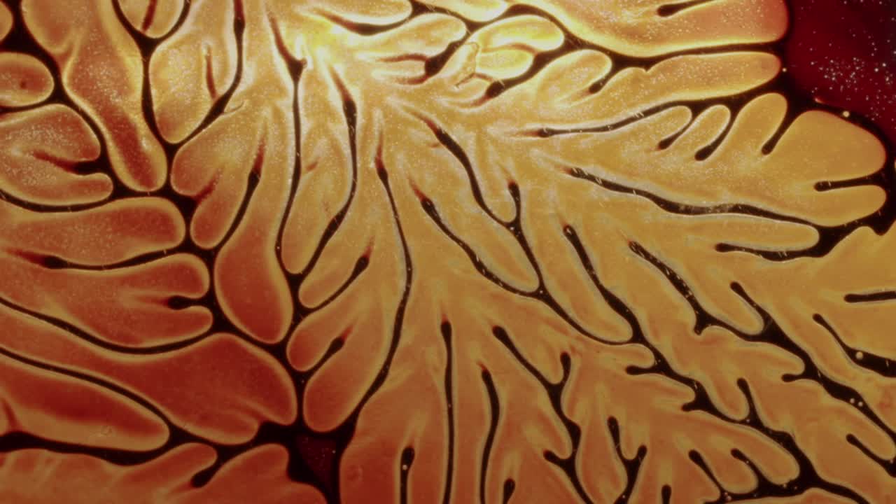 líquido negro que forma formas abstractas que parecen vasos sanguíneos en una superficie roja