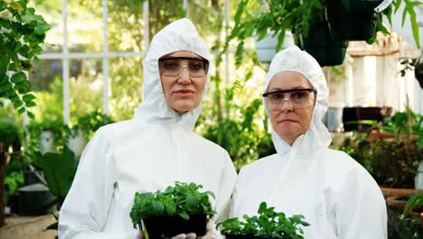 científicas que sostienen una planta en olla