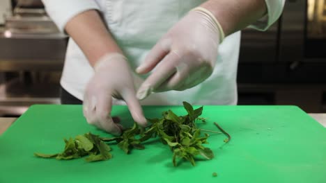 chef preparing fresh mint