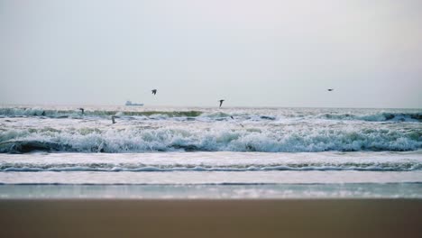 seagulls flying above the waves on a beach with a boat in the background