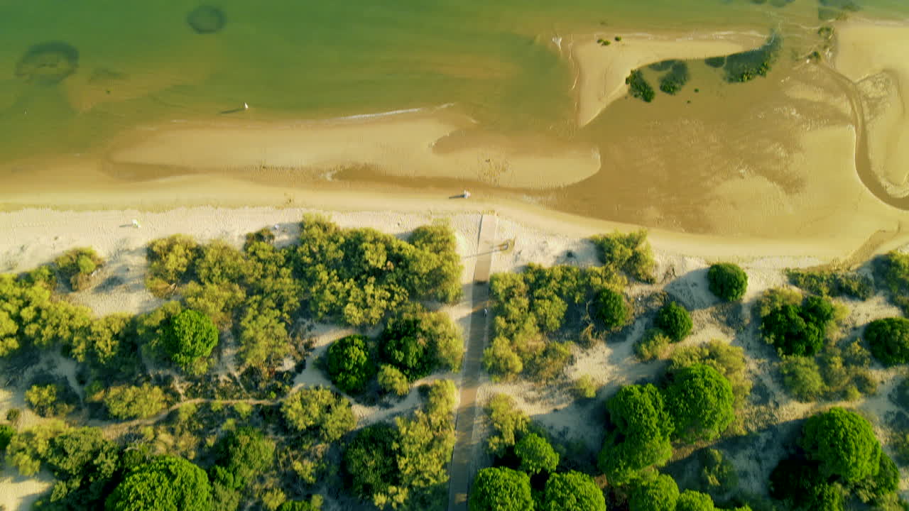 camino peatonal a través del bosque de pinos paraguas en dunas españolas hacia aguas poco profundas del río piedras en la ciudad de el rompido, vista de arriba hacia abajo o directamente arriba