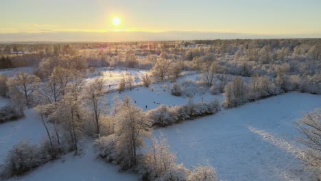 Vista-Aérea-Sobre-Hermosos-Campos-Grandes-Con-Muchos-árboles-En-Un-Paisaje-Nevado-En-Un-Día-Soleado-En-Karlskrona,-Al-Sur-De-Suecia-2