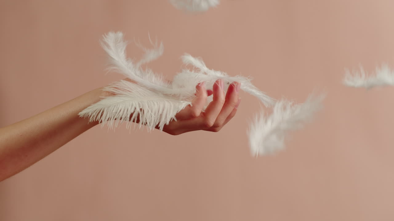 Woman's Hand with Floating Feathers