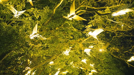 bright glowing light bird display in tree in sydney botanic garden for vivid in slow motion