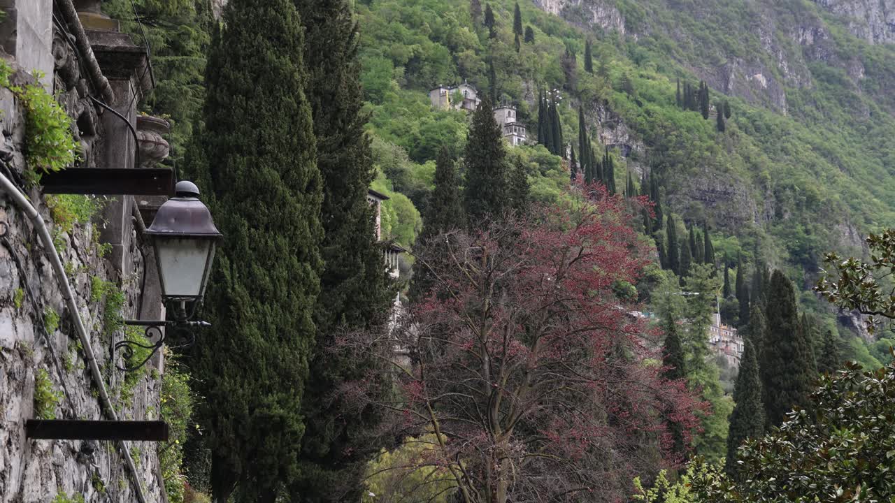 Old oil lantern and northern Italy landscape with cypress trees, background