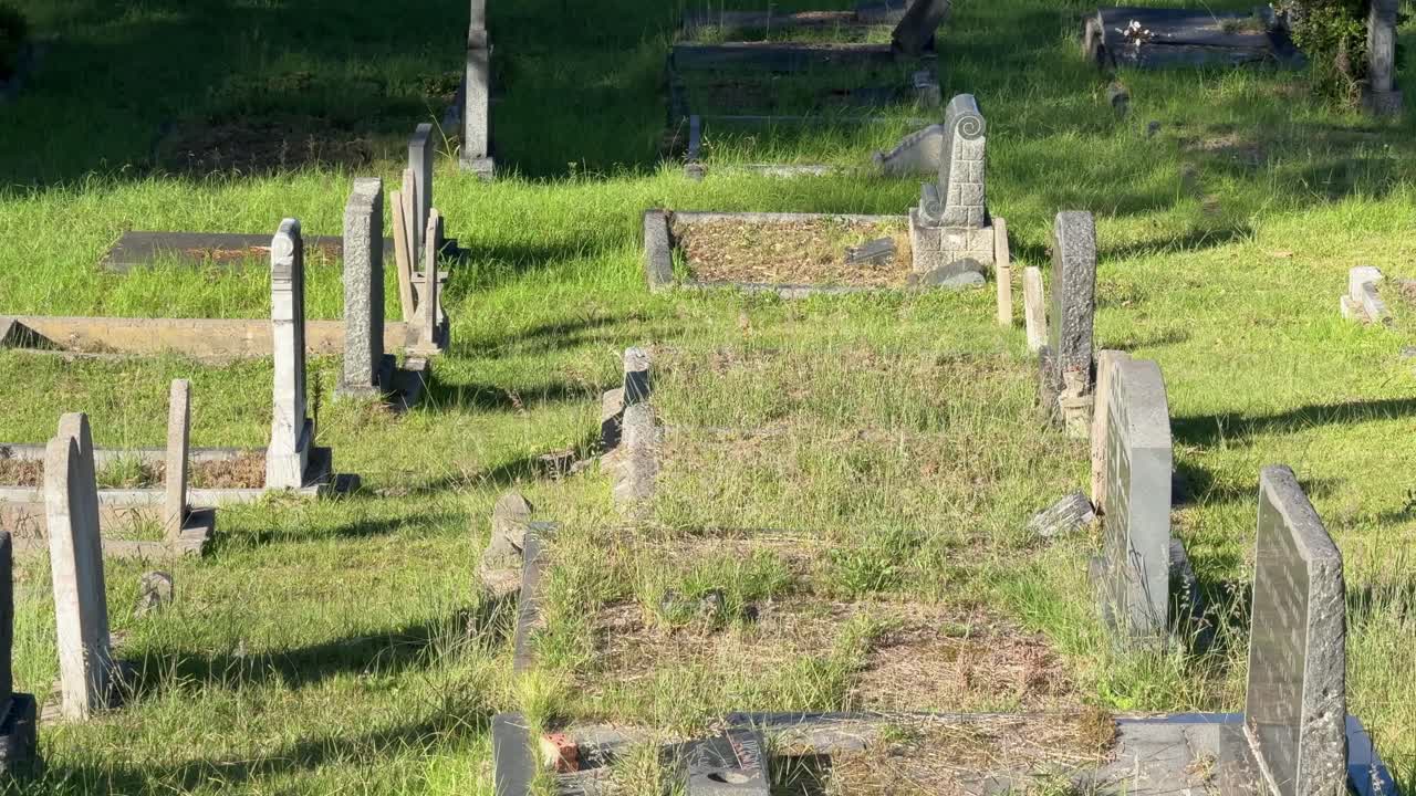 Graveyard in a old field