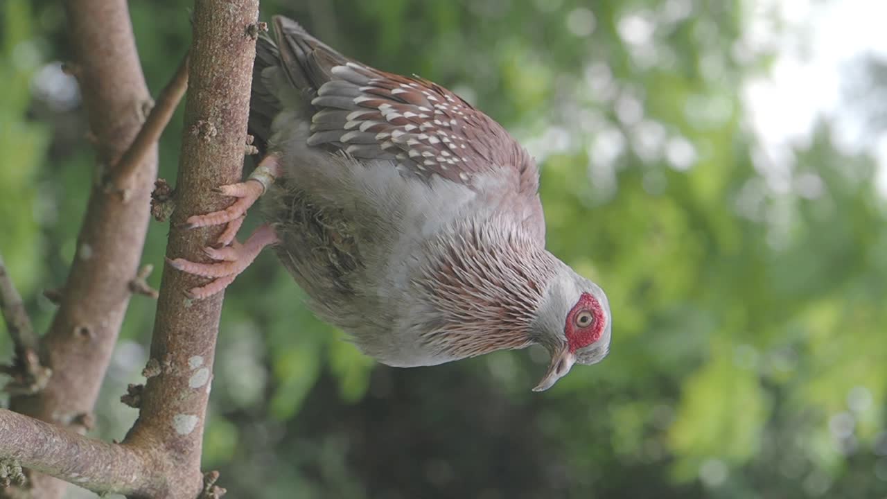 나뭇가지에 앉은 새