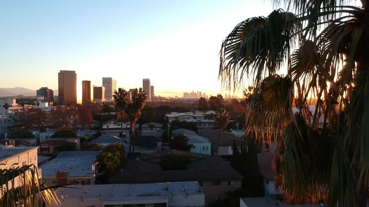 Le palme rivelano una splendida e colorata alba nel centro di Los Angeles all'orizzonte