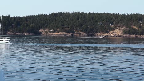 Catamaran-Boat-Sailing-Across-The-Rosario-Strait-Seen-From-A-Ferry-Boat-Near-The-Anacortes-In-Washington,-USA