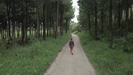 woman walks on rural dirt road through tall, lush evergreen forest