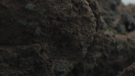 tilt down from view of ocean to black-brown rocks in iceland