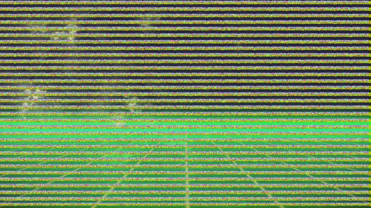 Animation of glitch interference over neon lines on black background